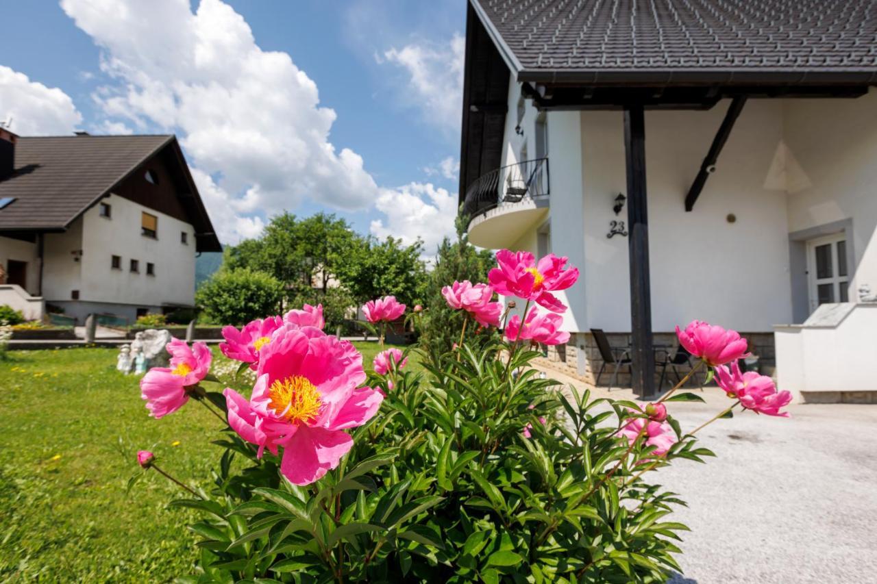 Apartment Wolf Bohinj Dış mekan fotoğraf